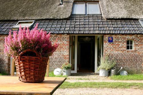 Bed And Breakfast Annen Экстерьер фото